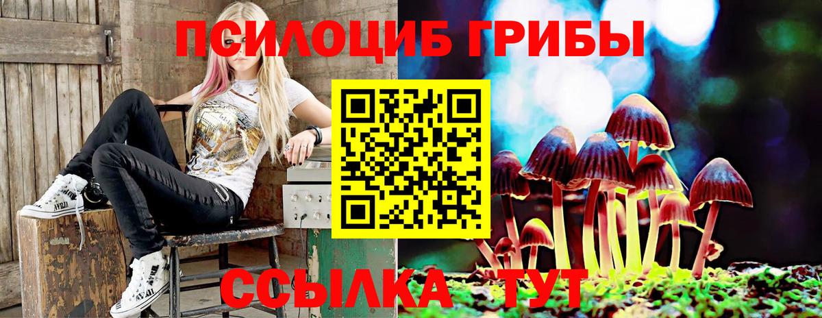 Черняховск  Псилоцибиновые грибы MAGIC MUSHROOMS  Вход с VPN 